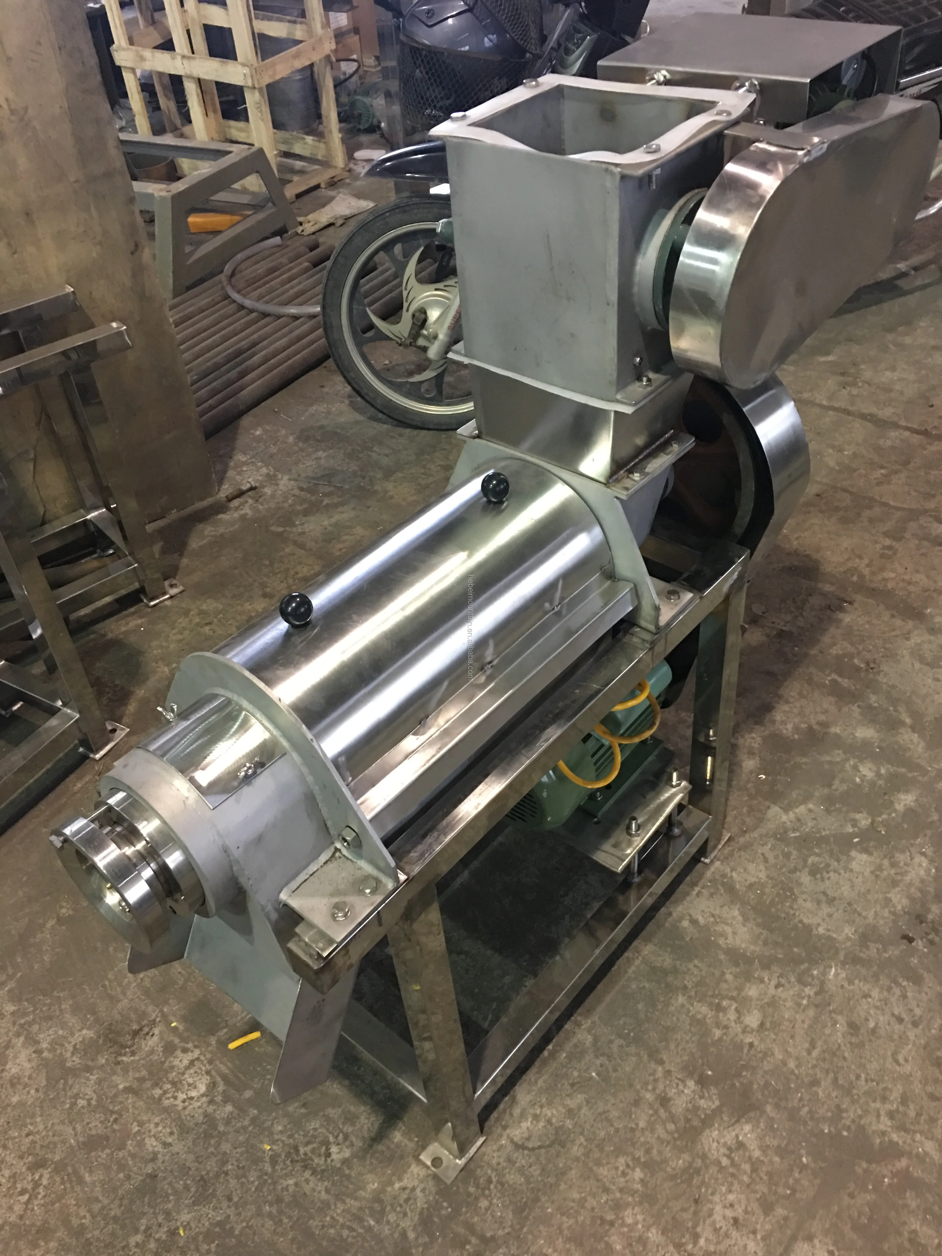 
Fruit Juicer Extractor Machine 