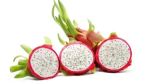 
Hot Product fresh dragon fruit Vietnam wholesales Price Dragon Fruit Price in Bulk dragon fruit vietnam 