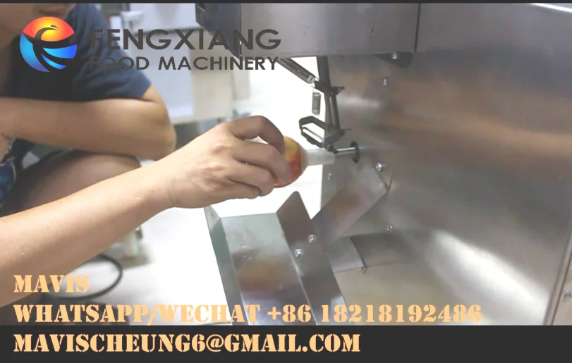 FXP-33 electric automatic fruit peeler