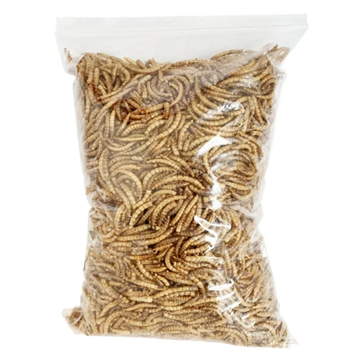 Manufacturer Stock Fish Meal Animal Feed Dry Meal Worm Dry Mealworm Dried Mealworms