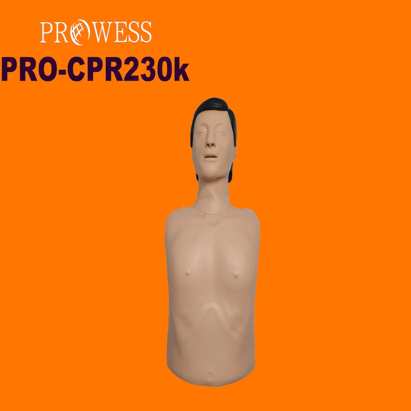 PRO-CPR230K Hot Sales Half Body CPR Training Manikin with Controller Emergency Training for Medical Teaching anatomical manikin