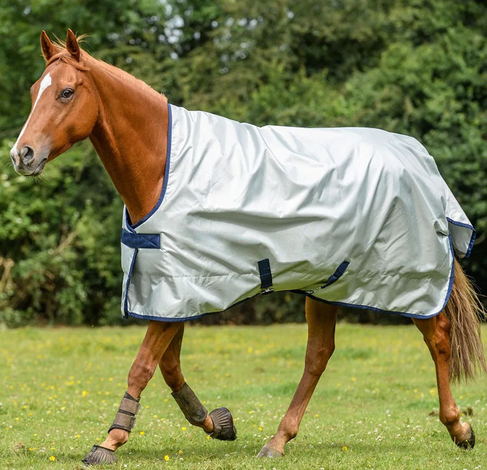 Spring and Autumn Training Horse Blanket Rugs wholesale standard neck horse rugs