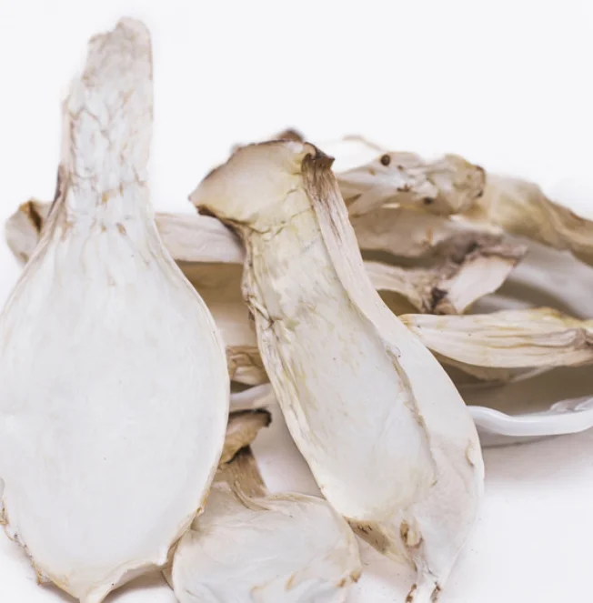 
Pleurotus eryngii dried mushrooms Boletus of the steppes King Oyster Mushroom slices for food 