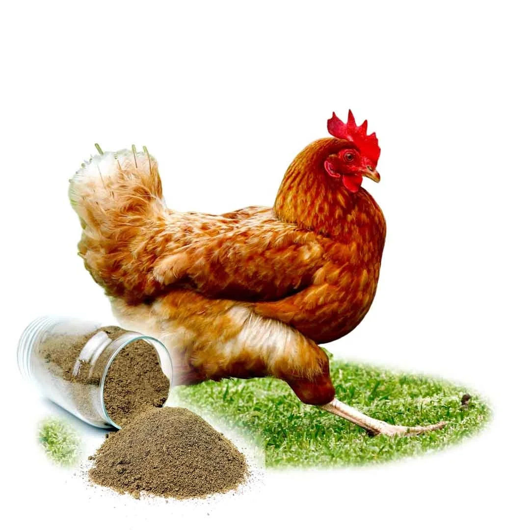 Natural Health Organic Pet Dog Poultry Food Mealworms Fish Meal Animal Feed Dried Insect Stronger Eggshells