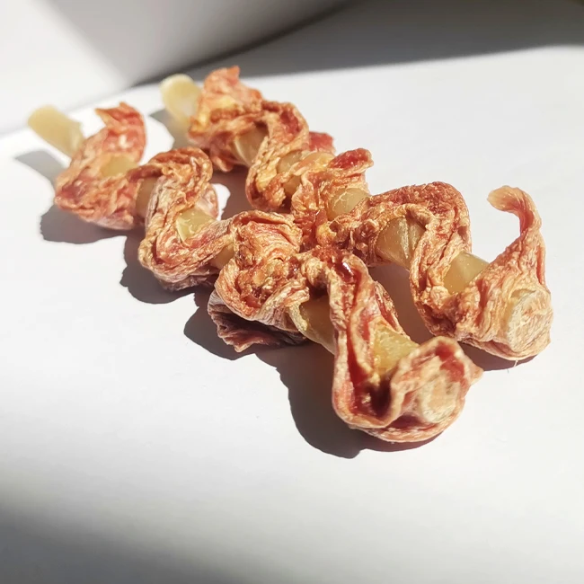 OEM ODM Factory Direct 100% Natural Chicken Tendon Skewers Healthy clean teeth Dog Snacks and Treats Pet Food Supplier