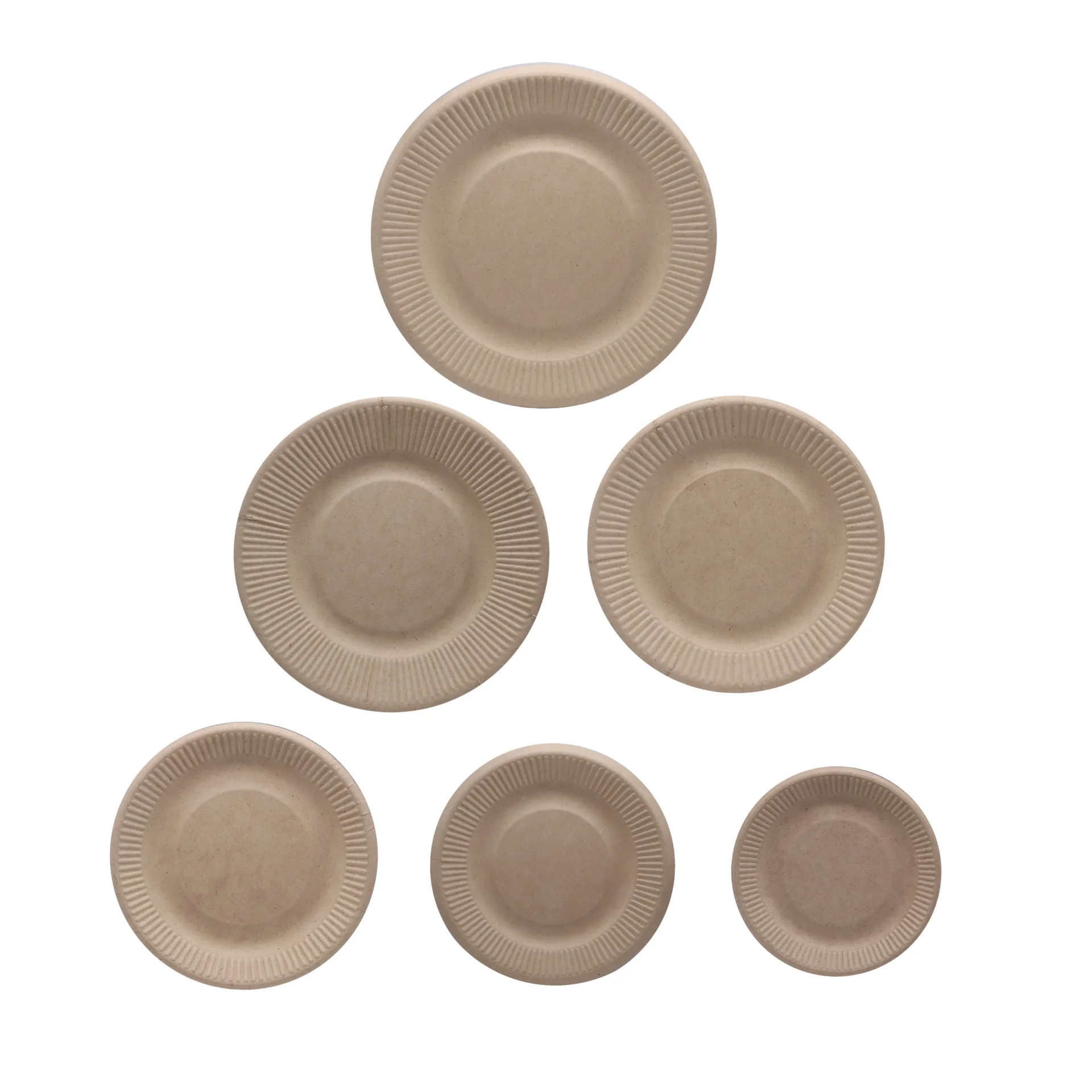 Fully Degradable Bagasse Eco Plate Disposable Cake Food Plate