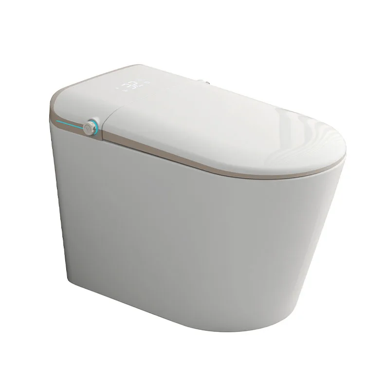 Smart Japan Toilet Samodra Bidet Ultra-slim Bidet Toilet Seat with High Pressure Blow Bidet Sprayer Stainless Steel