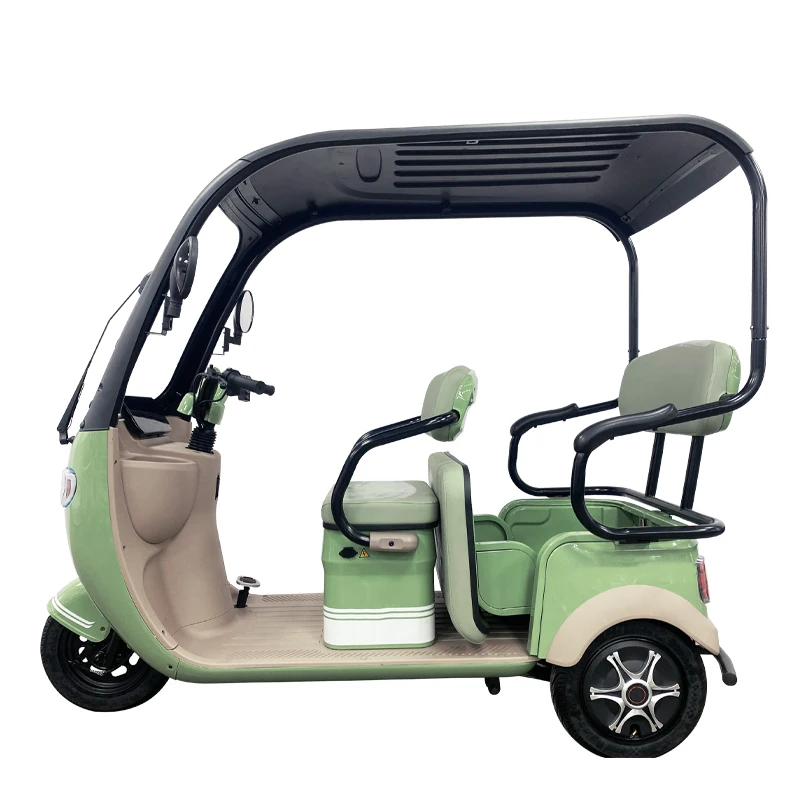 Chinese manufacturer Mini 800W Cargo Ebike 3 Wheel Passenger Electric Tricycle Scooter Three Wheel Electric Bike With Roof