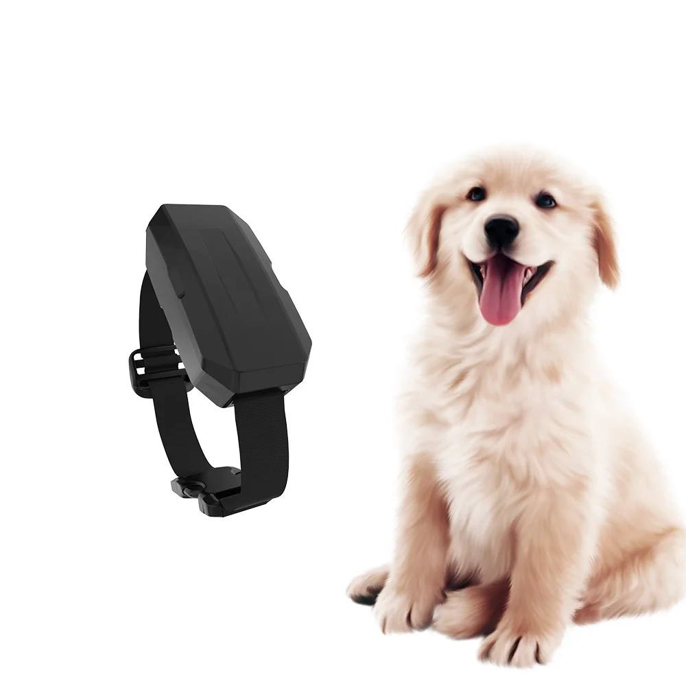 2022 New design pet supplies Free Installation Real Time Tracking Smart Geo Fencing Pet Collar GPS Tracker for Dog or Cat