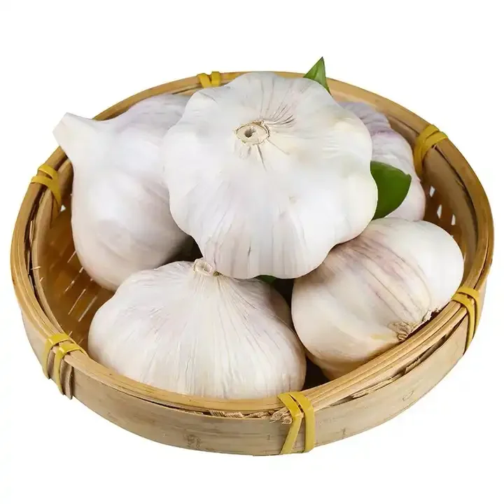 High Quality Low Price Shanxi Guochen fresh single clove garlic g1 garlic seed crops from China sale for Pakistan vietnam