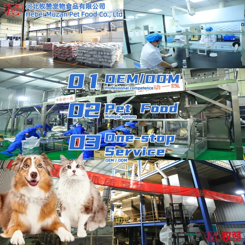 Dry Cat Food 1 to 12 Month Food Cat and Dog Chicken Mix Halal Dry Cat Food Manufacturer