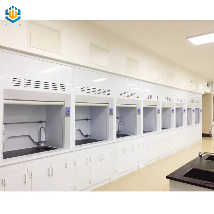 Acid resistant material walk in chemical fume hood  cupboard  lab equipment for schools