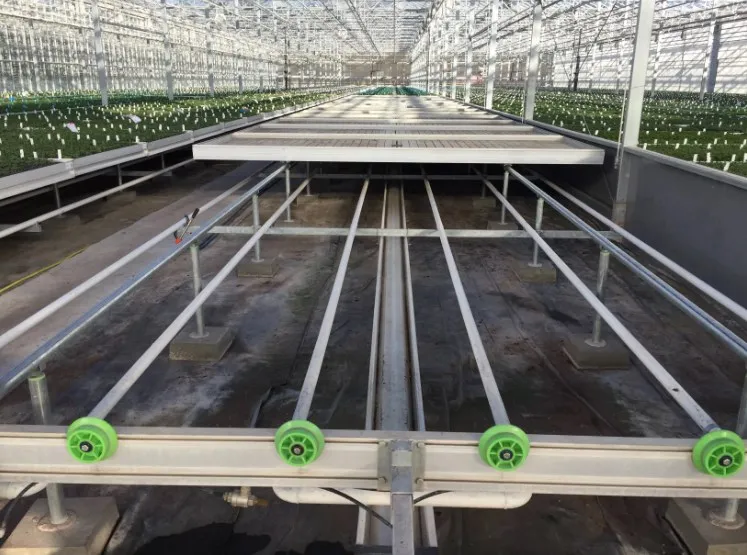 Fully automatic agricultural greenhouse netting price per roll greenhouses agricultural