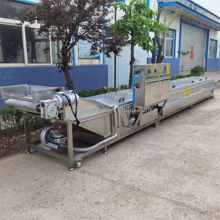 Industrial electric steam corn grain sweet corn green beans Carrot mushroom fruit and vegetable cooking and blanching machine