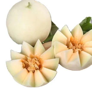 
Round soft white hybrid sweet melon F1 seeds 100g/bag 