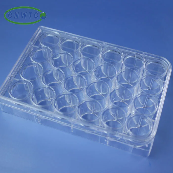 Lab 24 well sterile cell tissue culture plate