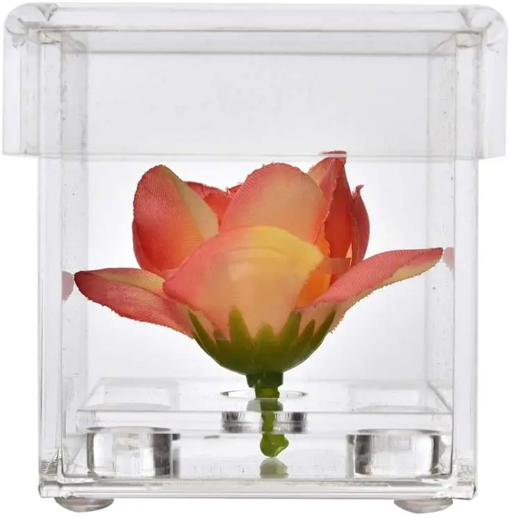 Clear Acrylic Rose Flower Box Invitation with Pink Flowers Decor Mini Acrylic Flower Gift Case