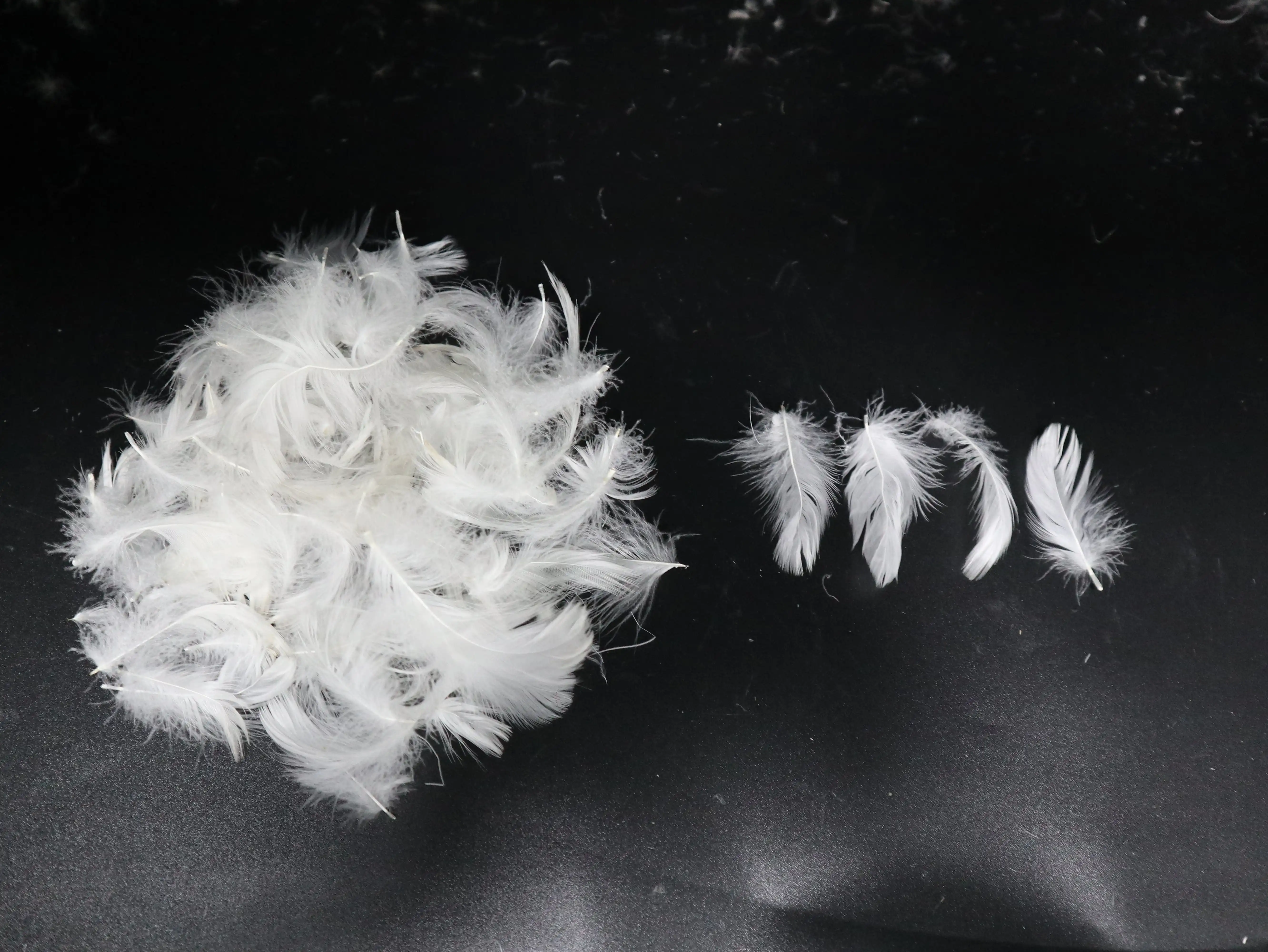 
Washed white duck feather used for blanket and cushion 