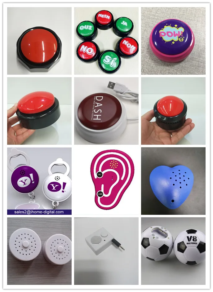 OEM voice box