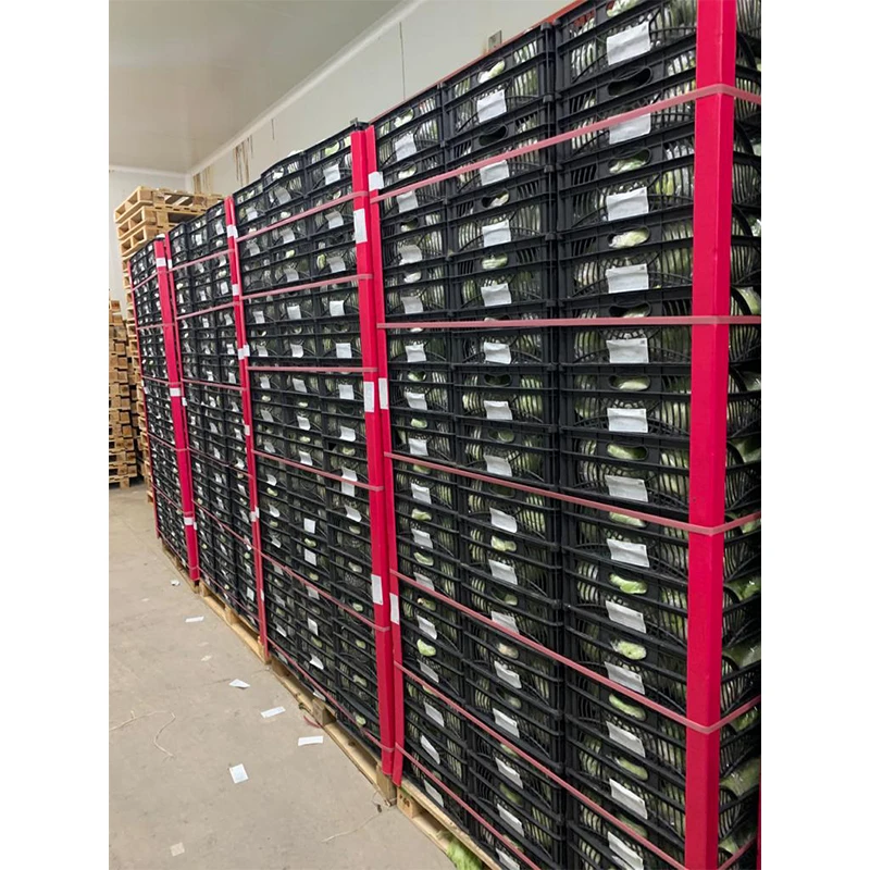 Хороший вкус, оставляет овощи, свежий салат, овощи, салат, айсберг, салат