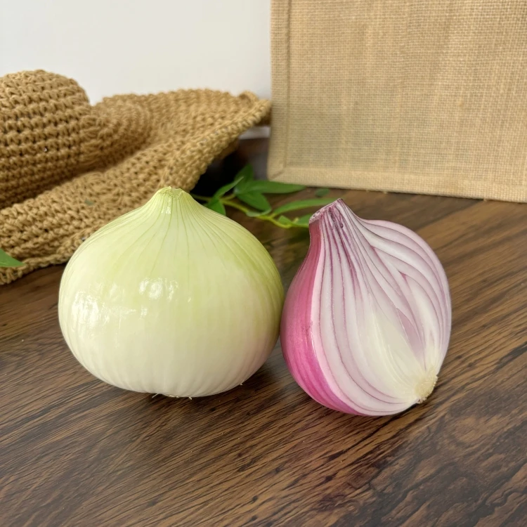 High quality Best Price China Fresh Red Onion