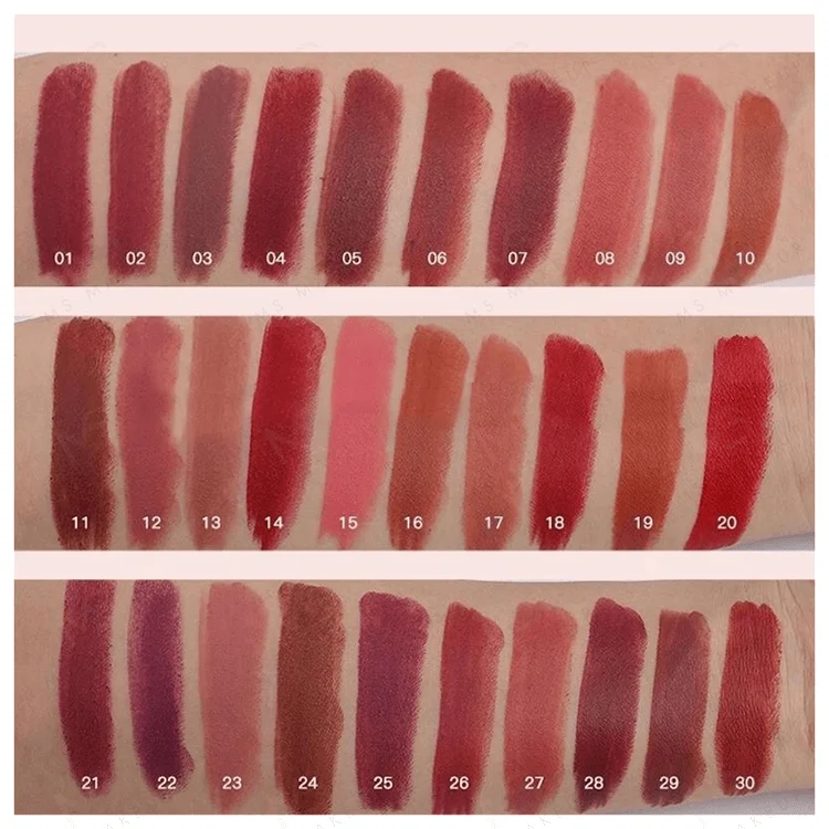Ms Makeup Wholesales Vendors Oem Odm Low Moq 30 Colors Customized Logo Label Vegan Nude Private Label Matte Lip Sticks Lipsticks
