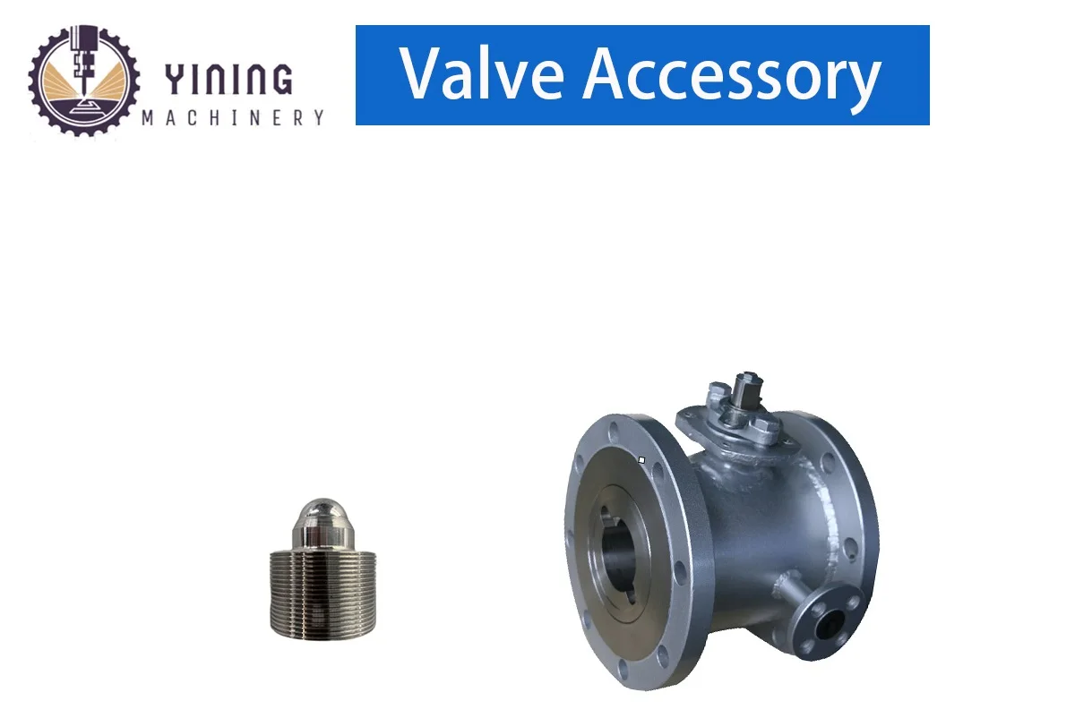 OEM & ODM 304 Stainless Steel Check Valve & Fittings Set Enhanced Efficiency and Power Industrial Valve Parts