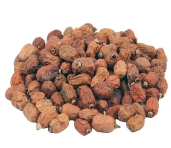Bulk cheap price Red Chinese raw spice Galanga Galangal fruits for sale