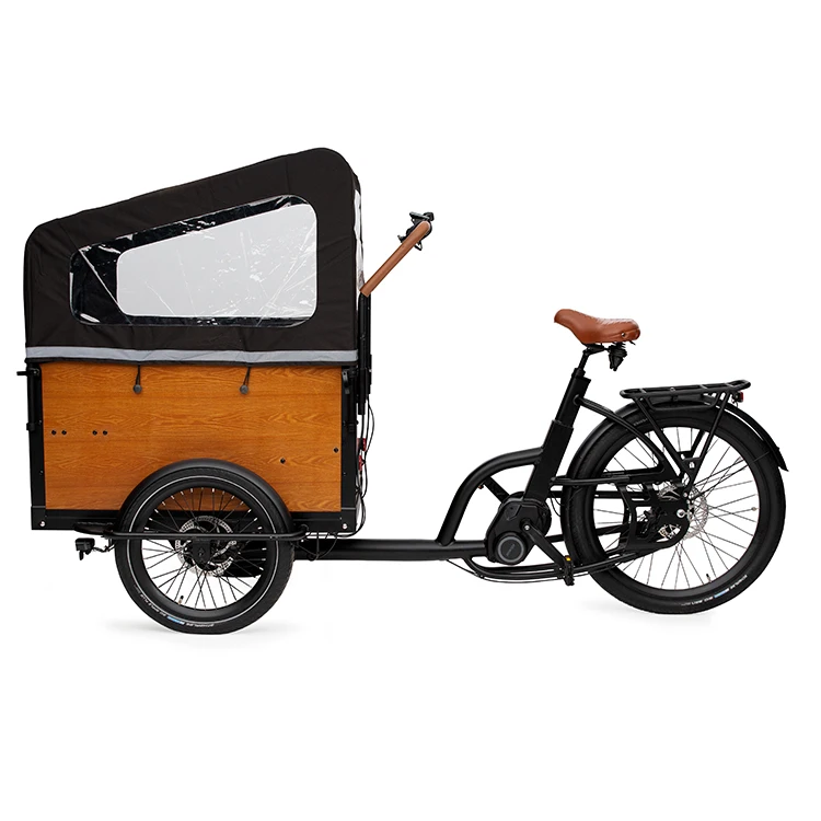 Family Use three wheel electric tricycle 250W 48V mid drive electric cargo bike e bakfiets for cargo delivery