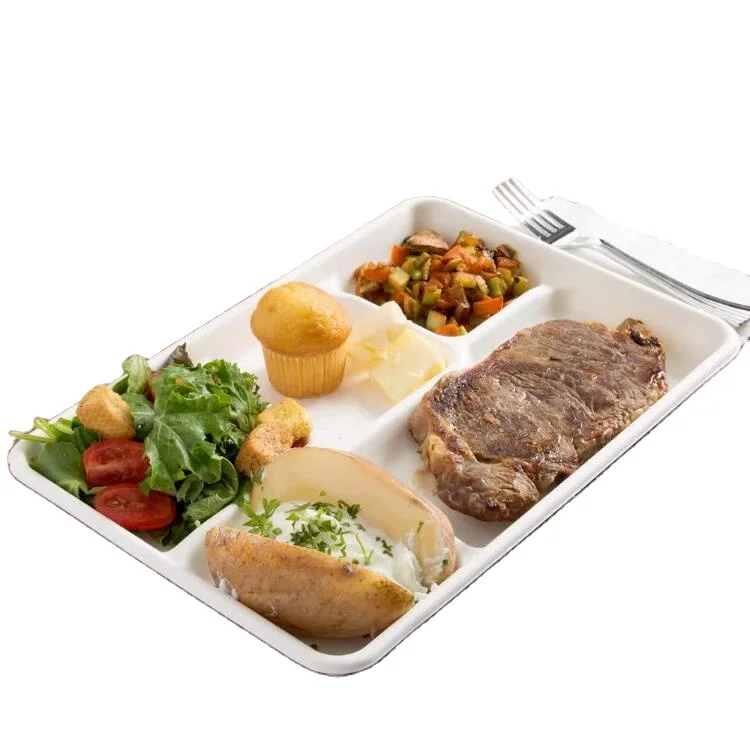 100% biodegradable 5 Compartment Food Tray Meat Tray for school canteen food tray