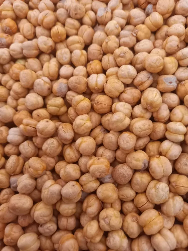Chickpeas High Quality Healthy Snack Wholesale Roasted 8mm Yellow Chickpeas For Export