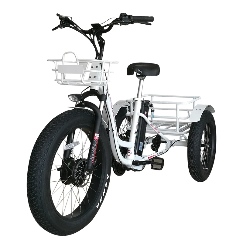 electric trike 3 wheel bike  48V 750w front hub motor with 20ah lithium battery baby tricycle trike tricycle tricycles