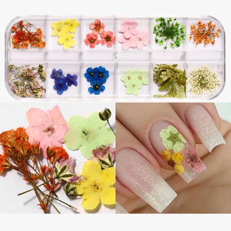 Quality Natural Mini Mixed Style Natural Flower 3D Stickers Decals Real Dried Flowers For Nails