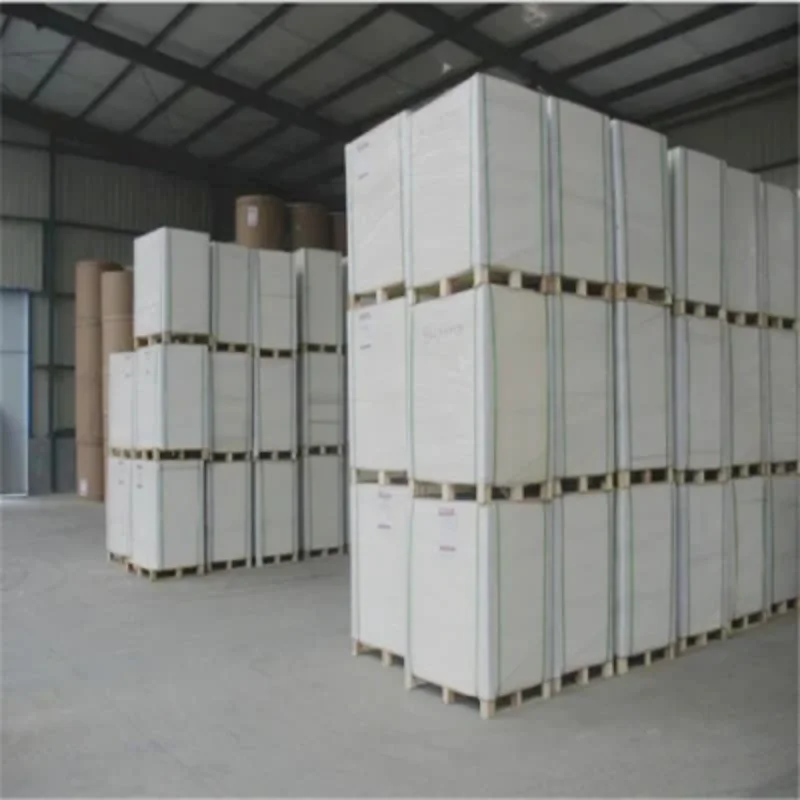 Professional Factory 72*102cm 77*110cm 787*1092mm Cup Ningbo Coated Ivory Fbb Board China Paper Mill
