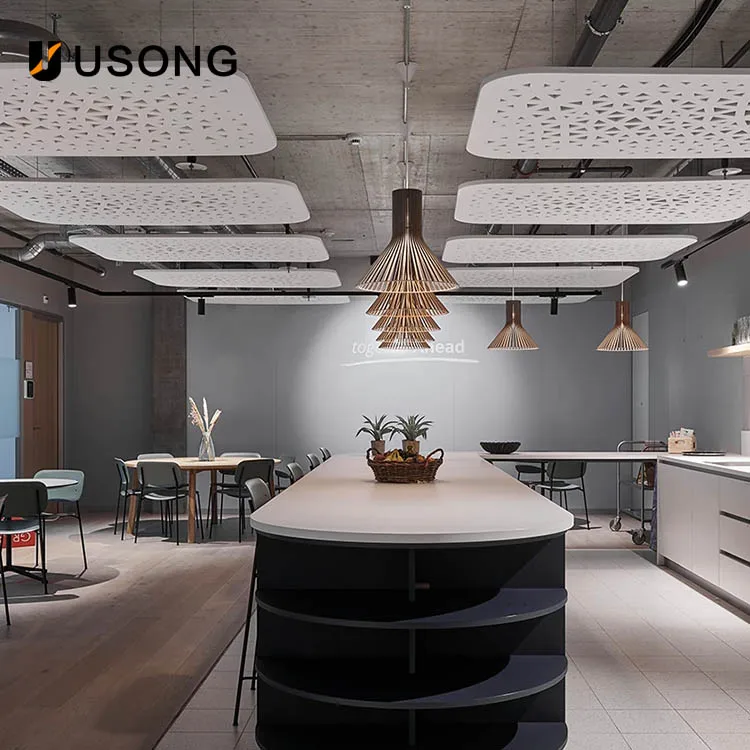 ODM OEM Latest Environmentally Friendly Material Pet  Gym Recording Studio Diffusion Independent Design Acoustic Ceiling Panels