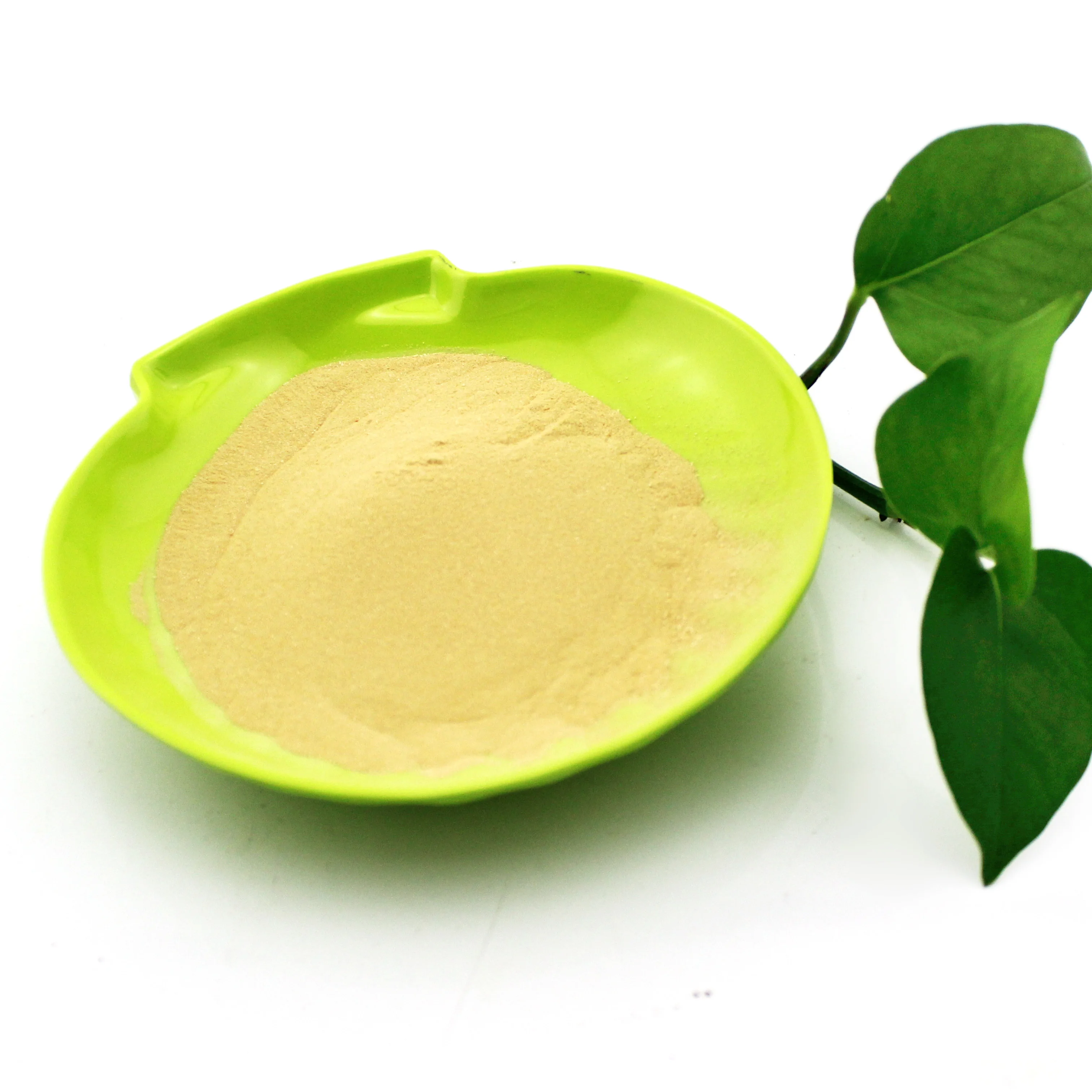 organic fertilizer plant powder fish protein fertilizer wholesale powder fertilizer