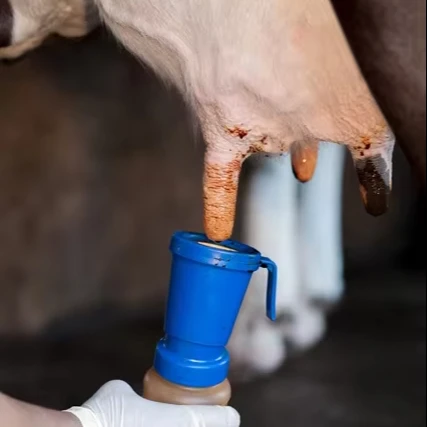 Невозвратная чашка для очистки сосков 300 мл