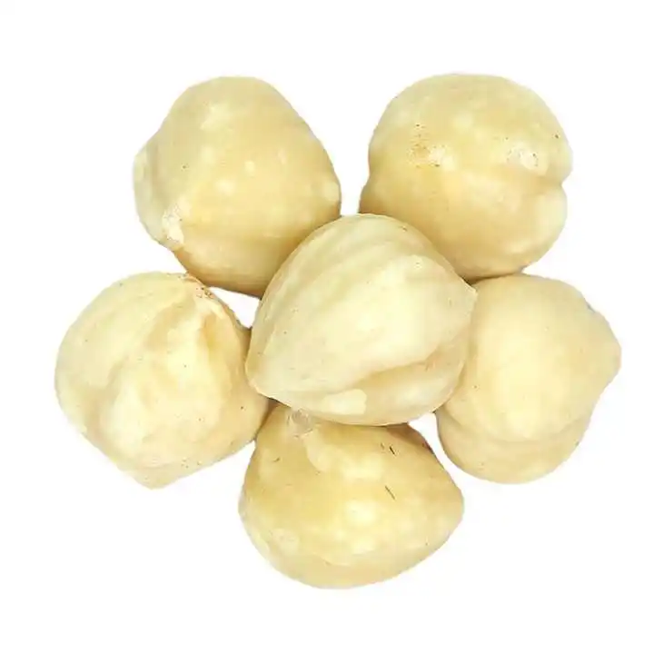 Natural Taste Quality Blanched Hazelnut/Hazel Nut at Low Price