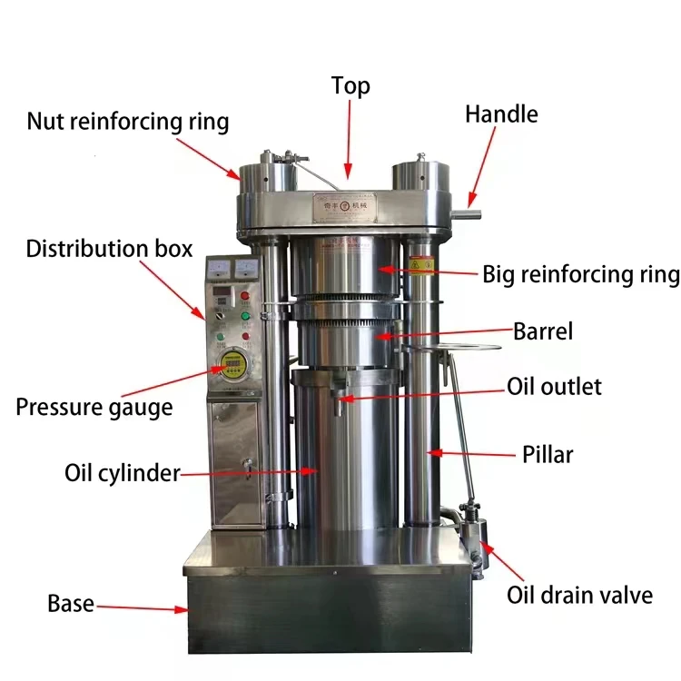 Automatic Soybean Oil Sunflower Oil Press Machine