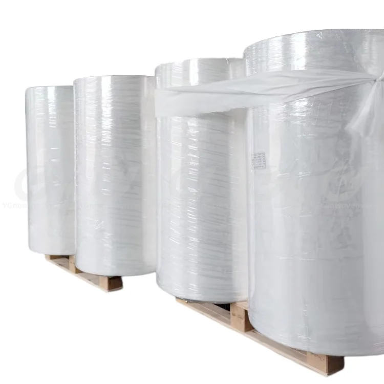 PLA Nonwoven Fabric Bag Custom Size Plastic Bag With Logo Biodegradable Shopping Bags