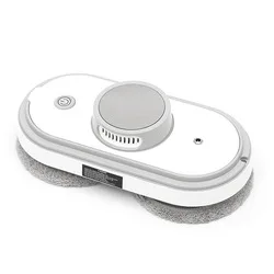 carpet cleaner with brush