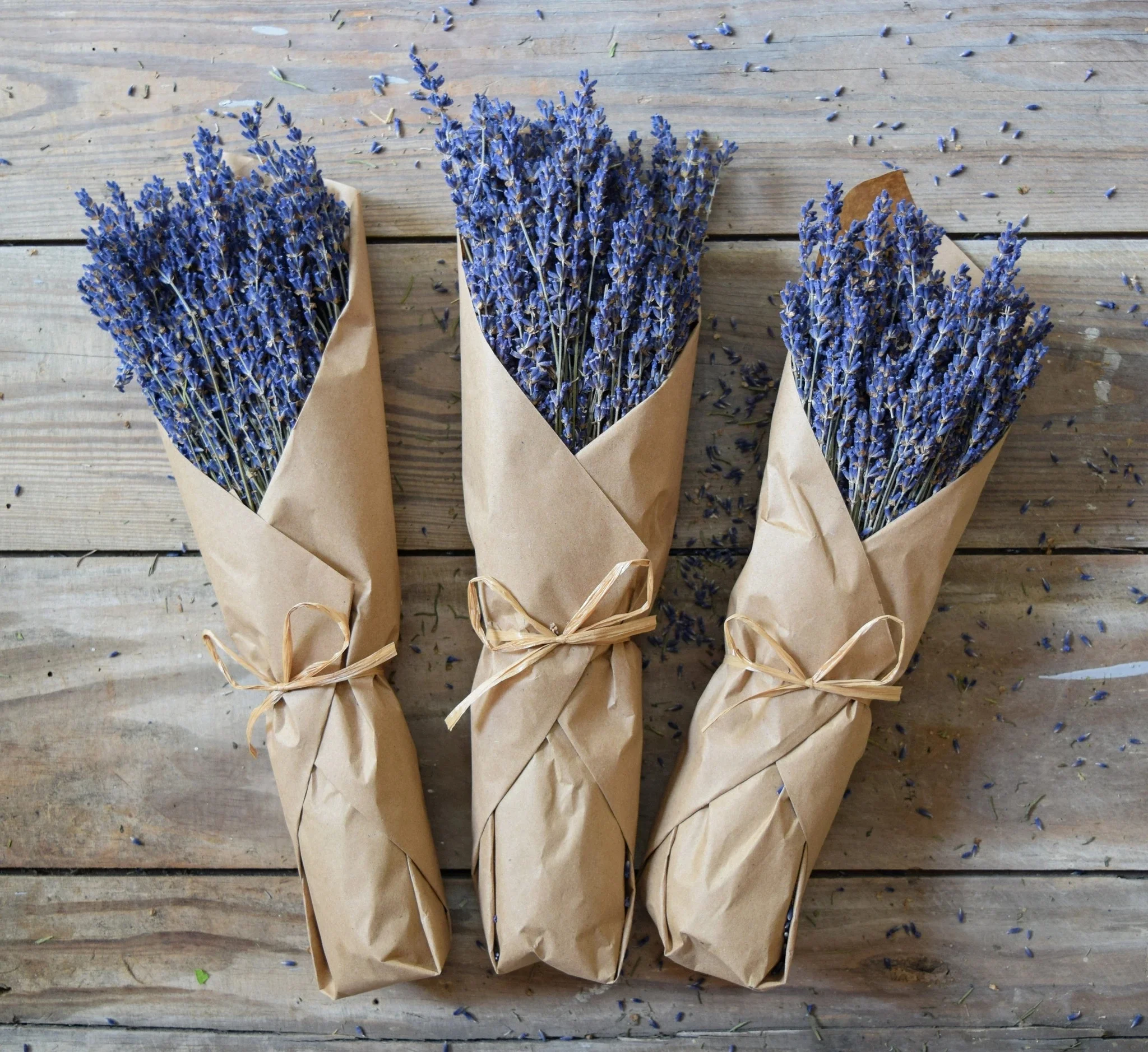 
C2146 Hot Sale Cheap Natural Real Pressed Florals Dry Lavender Bouquet Dried Lavender Flowers For Wedding Home Decoration 