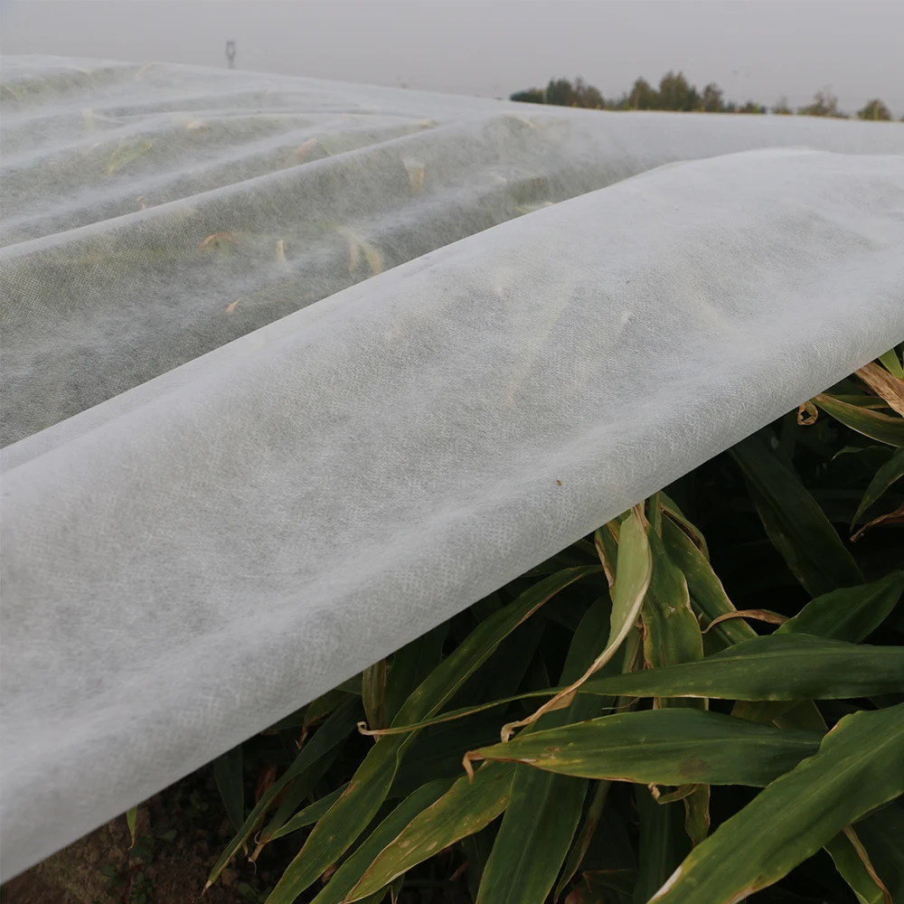 Agriculture Cover Greenhouse Anti-uv Pp Spunbond Nonwoven Fabric 100% Polypropylene Ce,oeko-tex STANDARD 100 JHE19112401 JINHONG