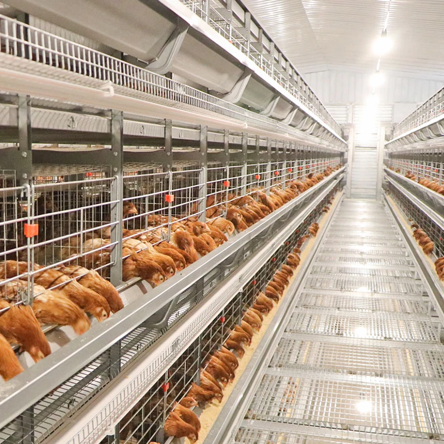 Portable chicken coop designs, cages for poultry, wire chicken cages for sale