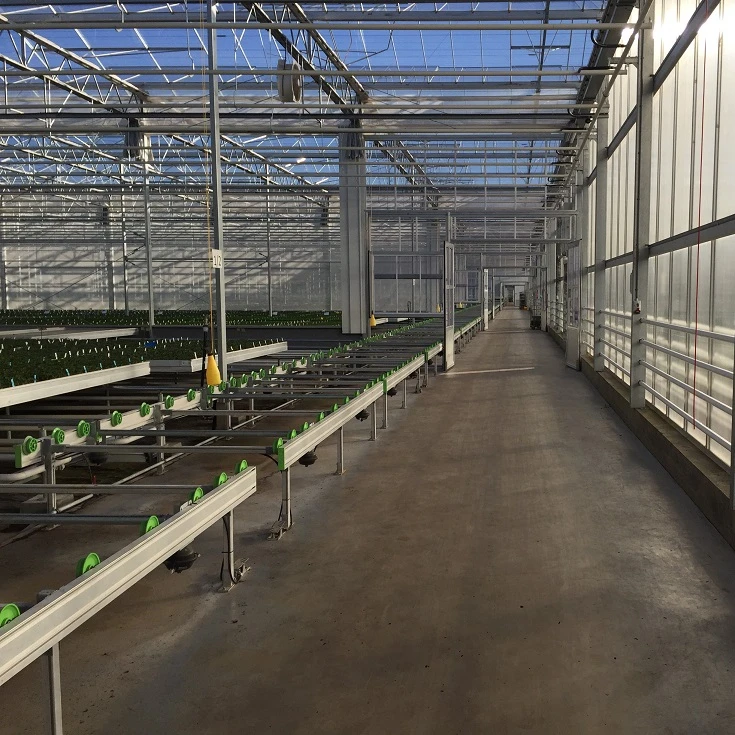Nursery Hydroponic Flood Table and Pallet System Logistics Seedbed Bench