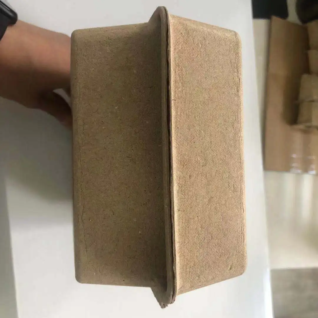 China Factory Free Design bio degradable cosmetic packaging box pulp molded gift box