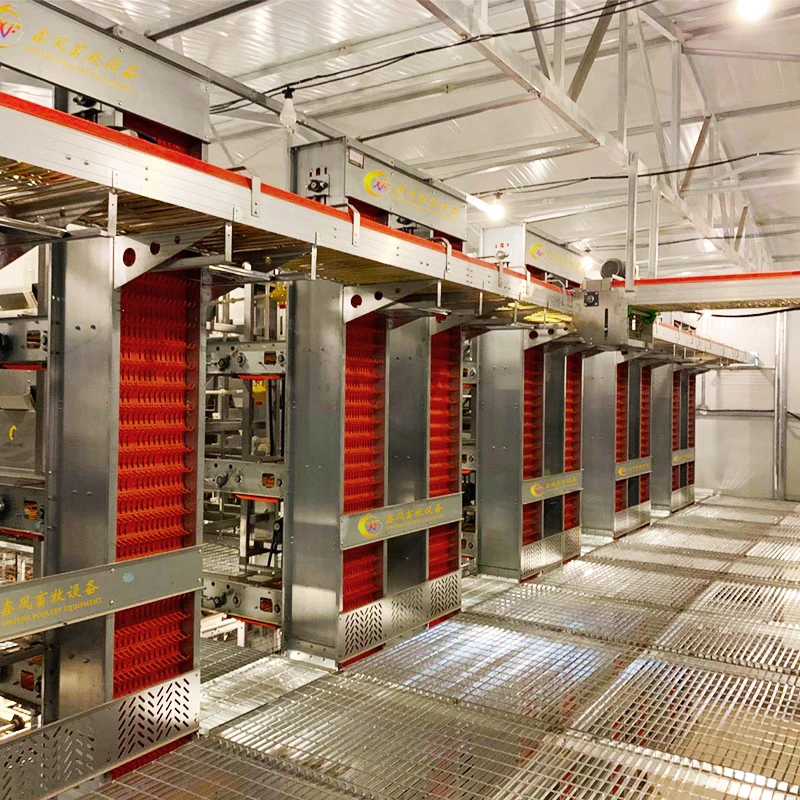 Full Automatic Poultry Farming Chicken Feeder Line H Type Chicken Cage for 15000 Chicken