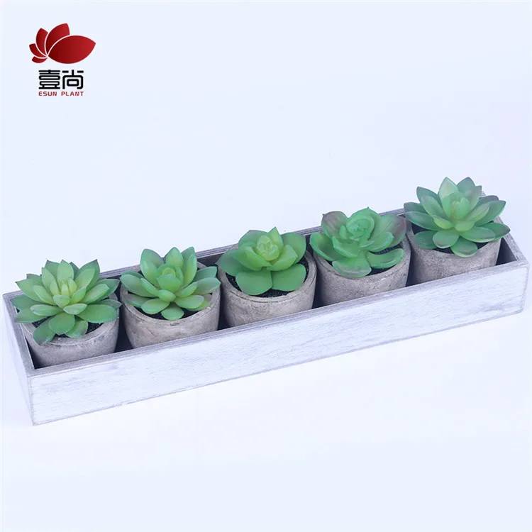 Artificial Succulent Plants Assorted Decorative Faux Succulent Potted Fake Cactus Cacti Plants with Gray Pots Set of 5 ES0845