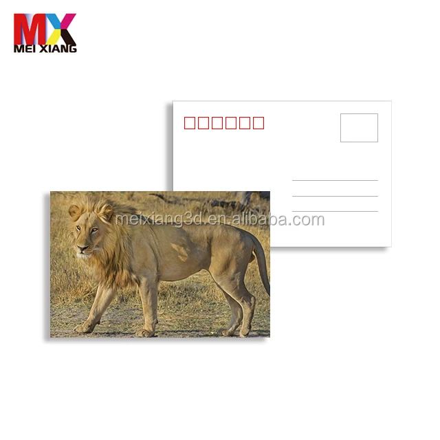souvenir customize lenticular 3d 5d postcard 3d lenticular postcard with lovely animal