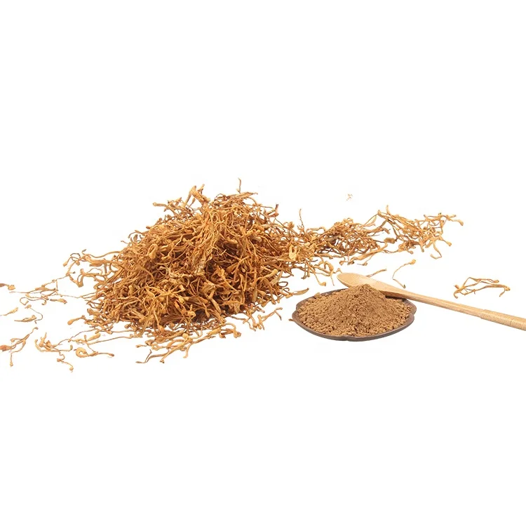 
fresh Chinese organic herb dried cordyceps militaries mushroom flower in 1 